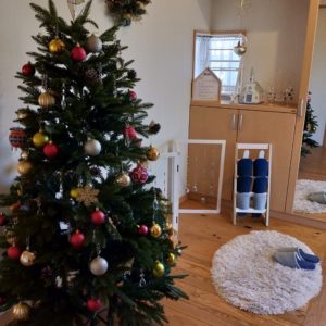 クリスマスキャンペーン🎄