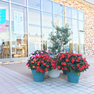 お花に溢れた店内