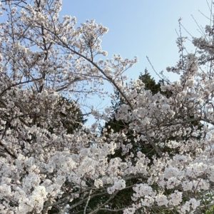 最安値クーポンは今月末まで!