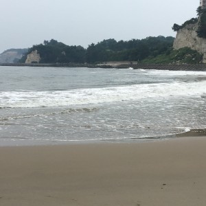 よもぎ蒸し回数券はじめましたー♪