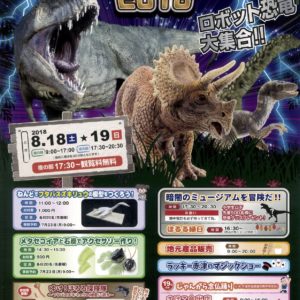 H30/8/18・19(土・日)”ミュージアム・ナイト2018”
