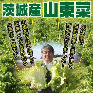 山東菜漬の販売開始。販売期間（2024年1月まで）