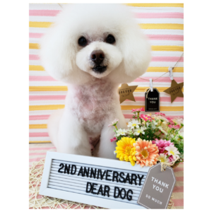 ☆2周年を迎えさせて頂きました☆
