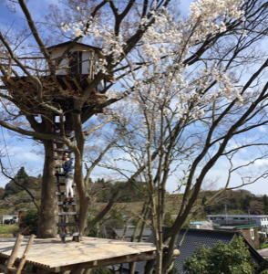 H30/4/22(日) ”いわき万本桜 春祭2018”