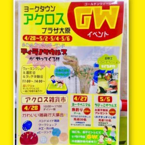 2019/4/28(日)〜 | ティラノサウルスウォーキングショー